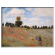 Monet's Poppies